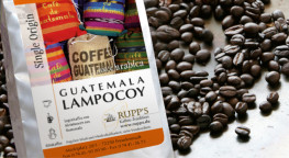 Lampocoy Kaffee Arabica